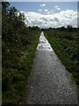 Strawberry Line on Congresbury Moor