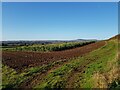 Fields next to a footpath, near to Uphampton