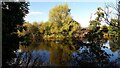 River Ure at Boroughbridge Camping and Caravan Club Site