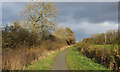SE5351 : Cycleway and Footpath heading towards Knapton by Chris Heaton
