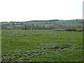 Grazing, Causeyhead