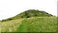 Approaching the summit of Moel Hiraddug near Dyserth