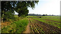 Robin Hood Way leading northeast towards Greasley