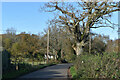 Kent Lane near Kent Cottage