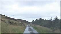 NR6207 : Cattle grid on the Mull of Kintyre road by Alpin Stewart