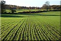 Farmland, Rotherwick
