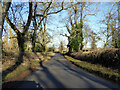 Road from Everdon towards Badby