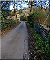 Narrow main road through Mounton