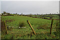 Glennan Townland