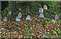 A small pet cemetery at Haining House, Selkirk