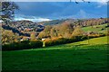 Bovey Tracey : Countryside Scenery