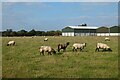 Pasture and farm buildings, Longwick