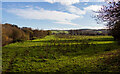 Field near the River Exe at Brampford Speke