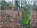 Stone Stile, Standish Wood