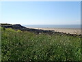 Craggy shore of Little Island, Barry