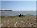 Seat with a view over Whitmore Bay to Nell