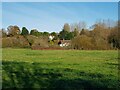 Houses at Holt Fleet from the riverside path (1)