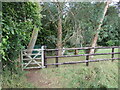 Footpath at Tunley Cottage