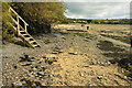 Beach, Porthilly Cove