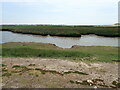 Channel in the tidal flats at East Aberthaw