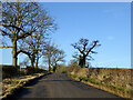 Road towards Litchborough