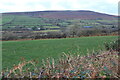 View towards Foel Dyrch, Mynydd Preseli