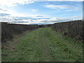 Green lane near Wheatley