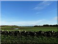 NZ1259 : Fields opposite Horsegate Farm by Robert Graham