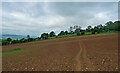 SP0628 : Farmland near Farmcote (1) by Stephen Richards