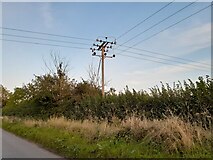 SP8008 : Electricity pole on Kimblewick Road, Kimble Wick by David Howard