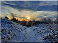 Snowy path to Ashbrow school