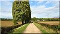 The Baulk looking north towards Clarborough