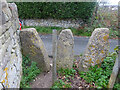 Twin Stone Stile, Whiteshill