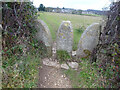 Twin Stone Stile, Whiteshill