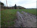 Footpath off Back Racecourse Lane