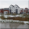 SJ9101 : Balancing pond and housing near Oxley in Wolverhampton by Roger  D Kidd