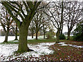 Trees in Goodyear Neighbourhood Park, Wolverhampton