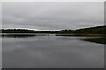 H1752 : Lower Lough Erne by N Chadwick