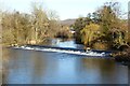 SO5074 : Weir on the River Teme at Ludlow by Philip Halling