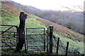 G?t gerddwyr ar lwybr / Pedestrian gate on path