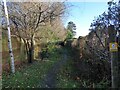 The Bridle path leading to Brynhafod Lane