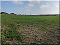 SW5936 : A field near Tregotha Farm by David Medcalf