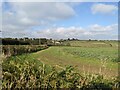 Fields near Polglase Farm