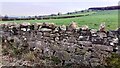 View over roadside dry stone road of fields near Lothian Gill