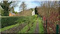 Footpath to Deepdene Station