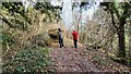 Woodland path on the Brockham Hills