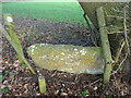 Stone Stile, Upthorpe Farm