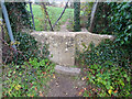 Stone Stile, Selsley