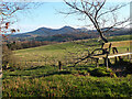 Viewpoint on Gala Hill