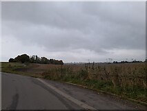 TL2616 : Fields by White Horse Lane, Burnham Green by David Howard
